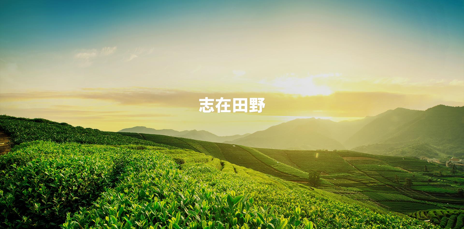永農(nóng)生物