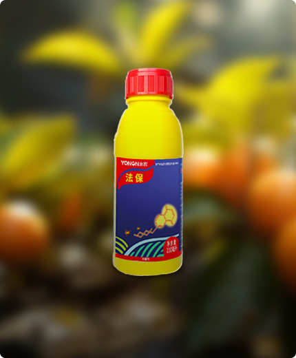 法保